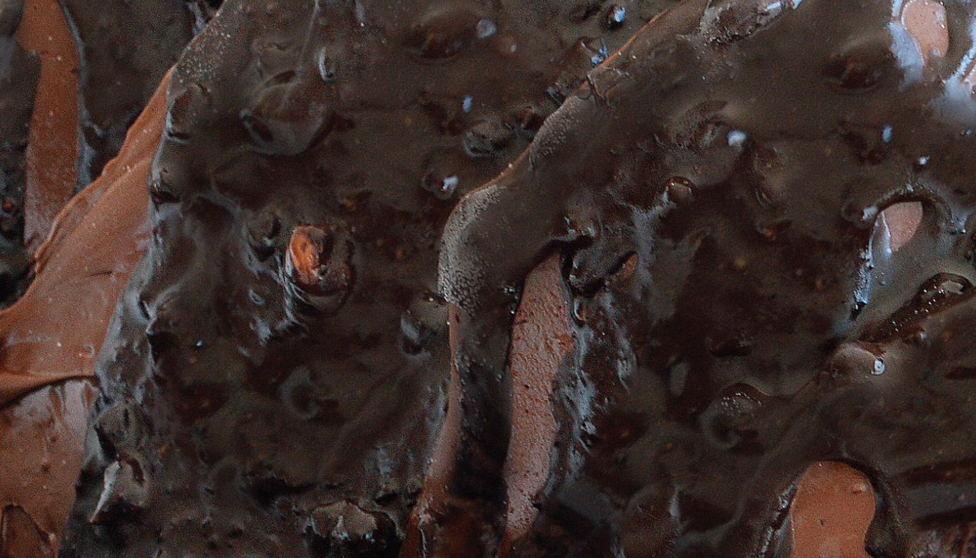 Fanta Brownies